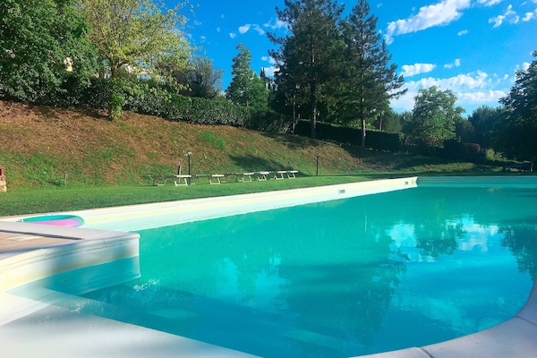 Seasonal outdoor pool, a rooftop pool, pool umbrellas, pool loungers