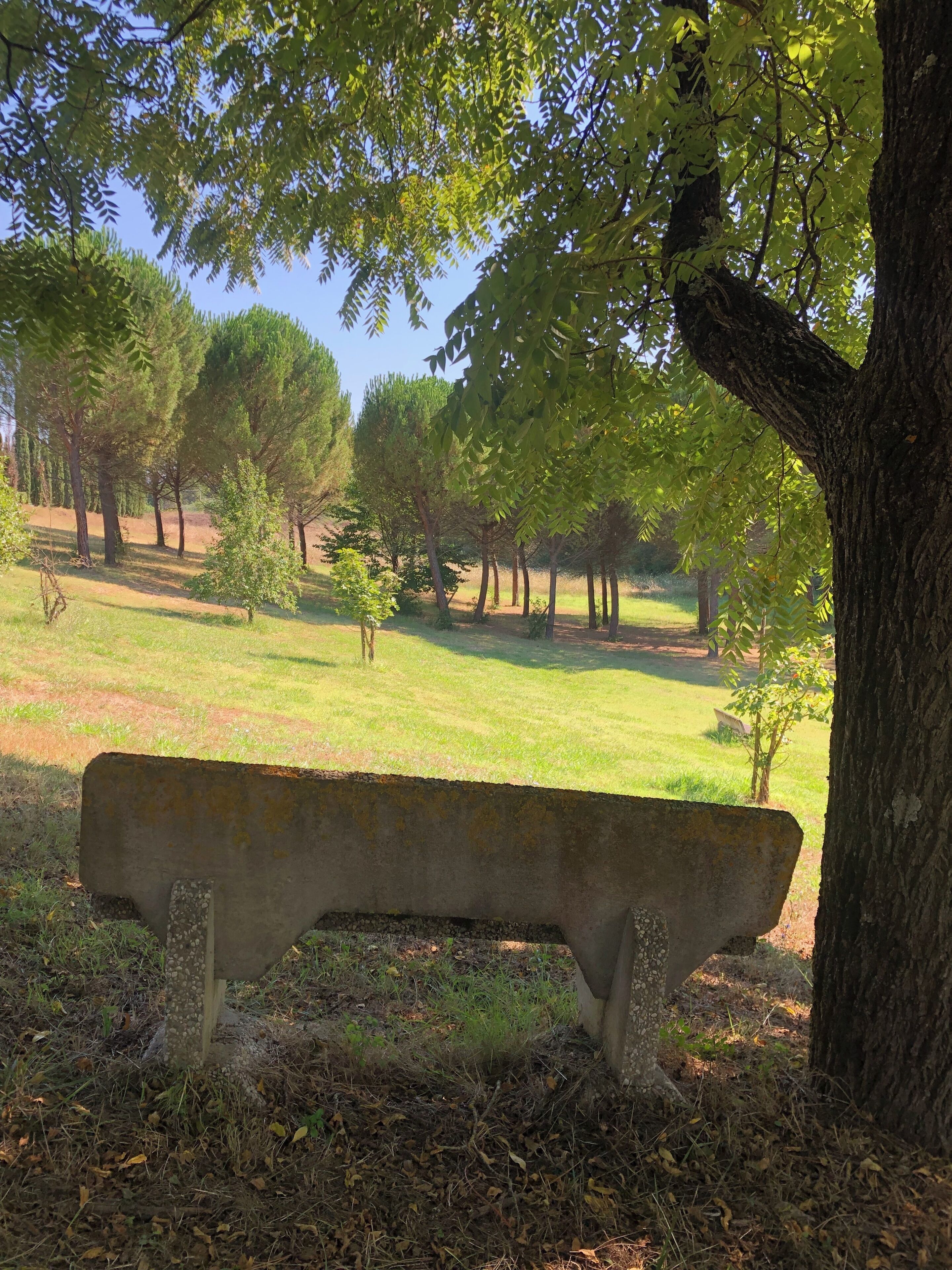 Foto - Cascina De' Fagiolari