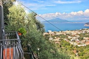 Un balcone con una pianta in vaso, affacciato su una cittadina costiera con edifici e una montagna all'orizzonte.