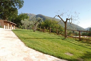 Property grounds - Antico Casale Urbani (Scheggino)