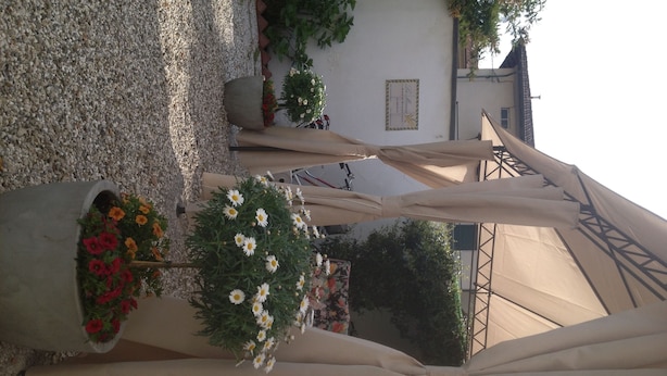Outdoor umbrellas, potted plants, and a gravel path. - La Mimosa Bed and Breakfast (Lucca)
