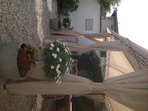 Garden - La Mimosa Bed and Breakfast (Lucca)
