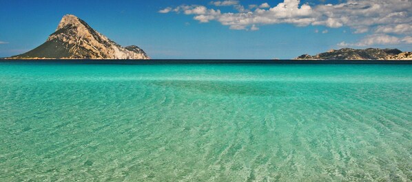 Perto da praia, areia branca, espreguiçadeiras, guarda-sóis