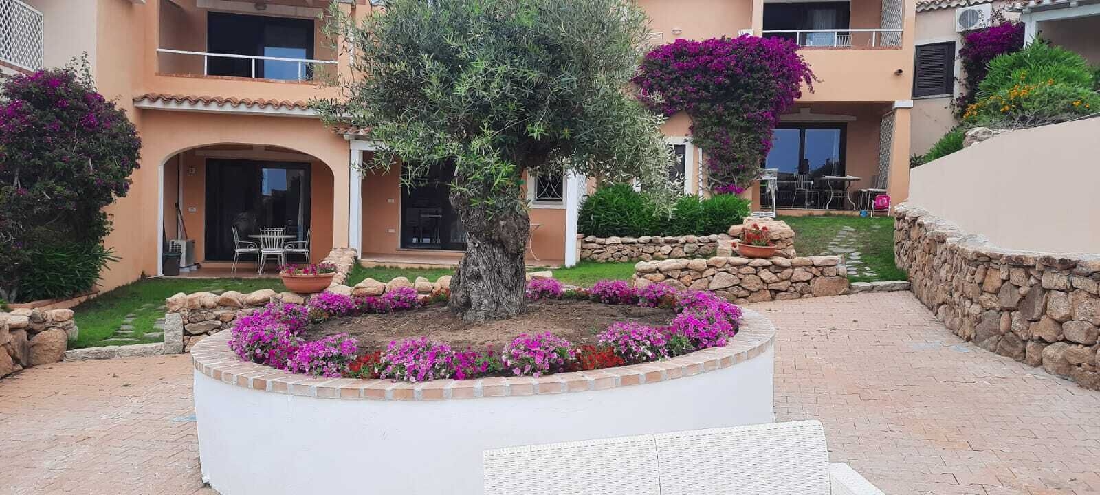 A courtyard with a central tree, surrounded by a stone wall and flower beds.
