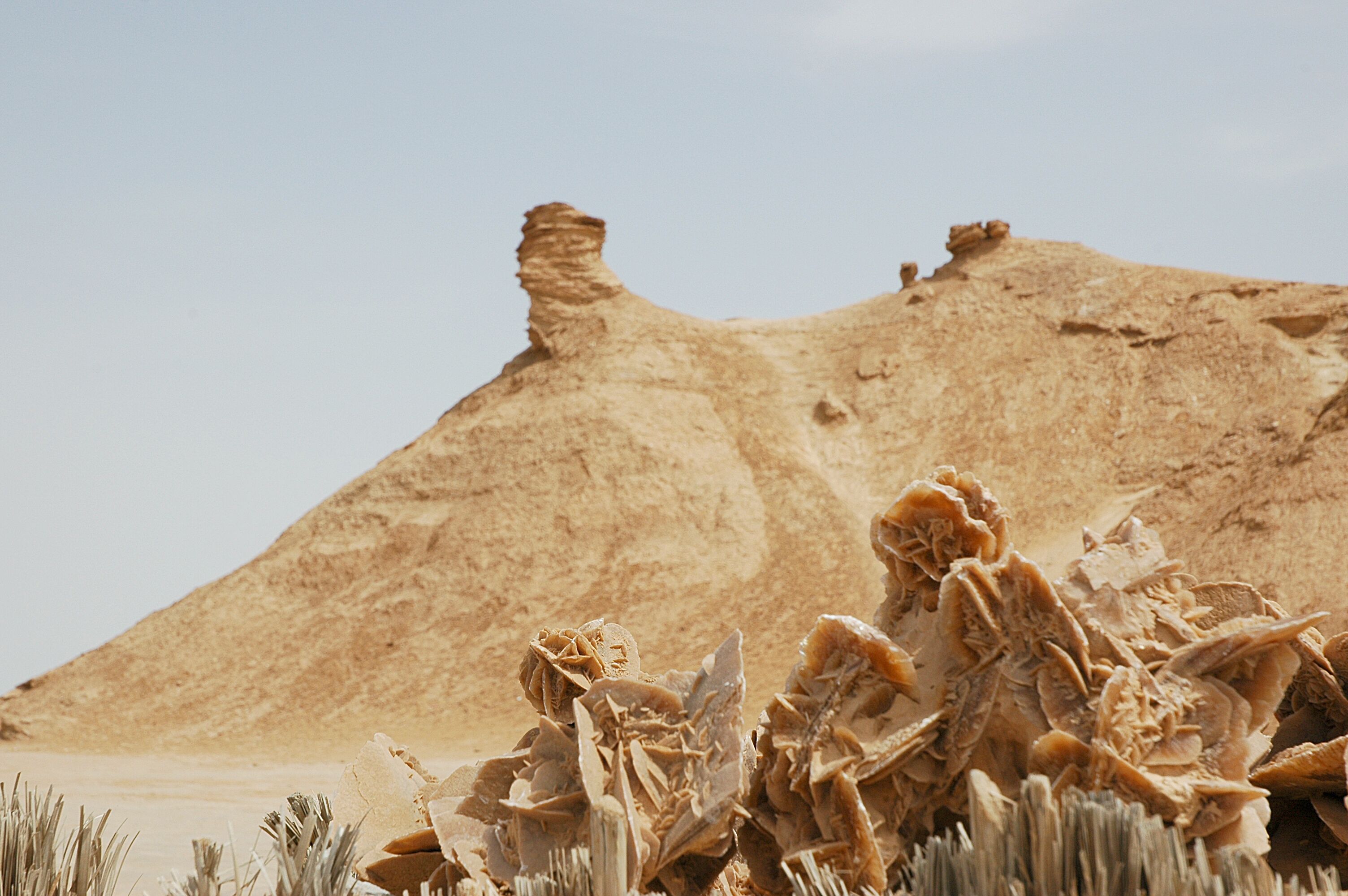 Eine Wüstenlandschaft mit einer großen Sandformation und vereinzelter Vegetation.