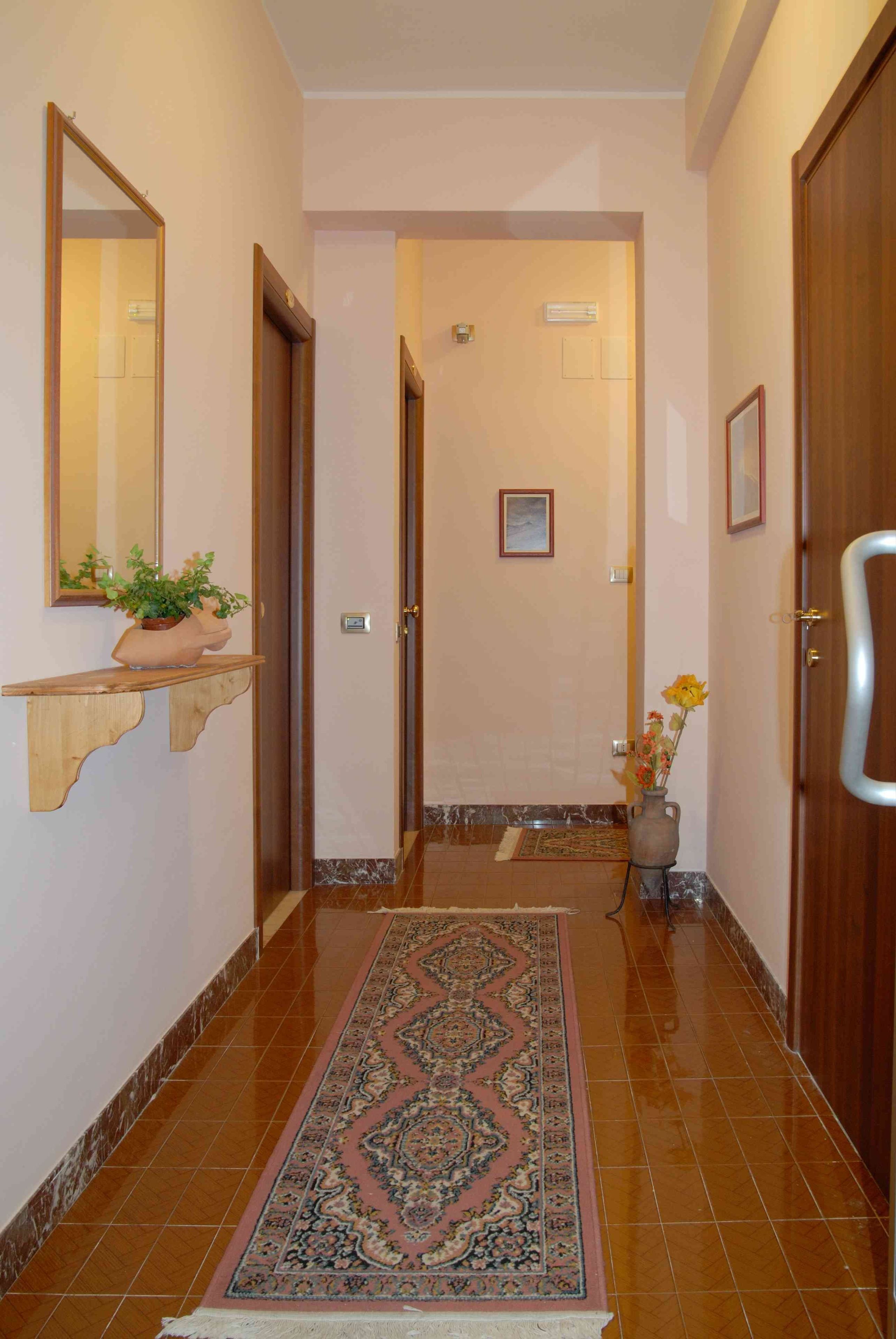 Um corredor com tapete estampado, portas de madeira, um espelho e uma planta numa prateleira.