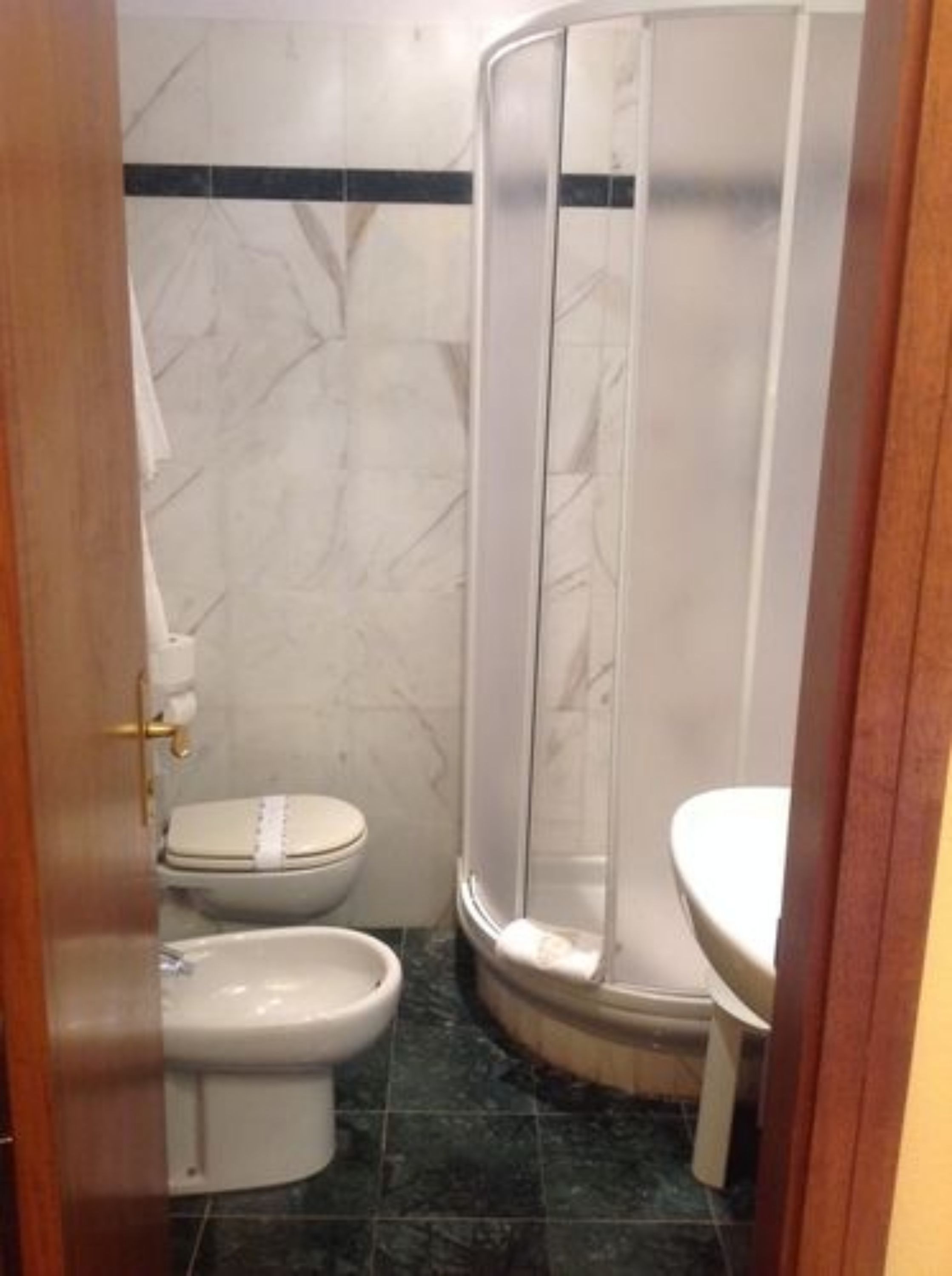 shower, free toiletries, hair dryer, bidet