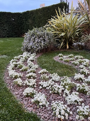 Jardín