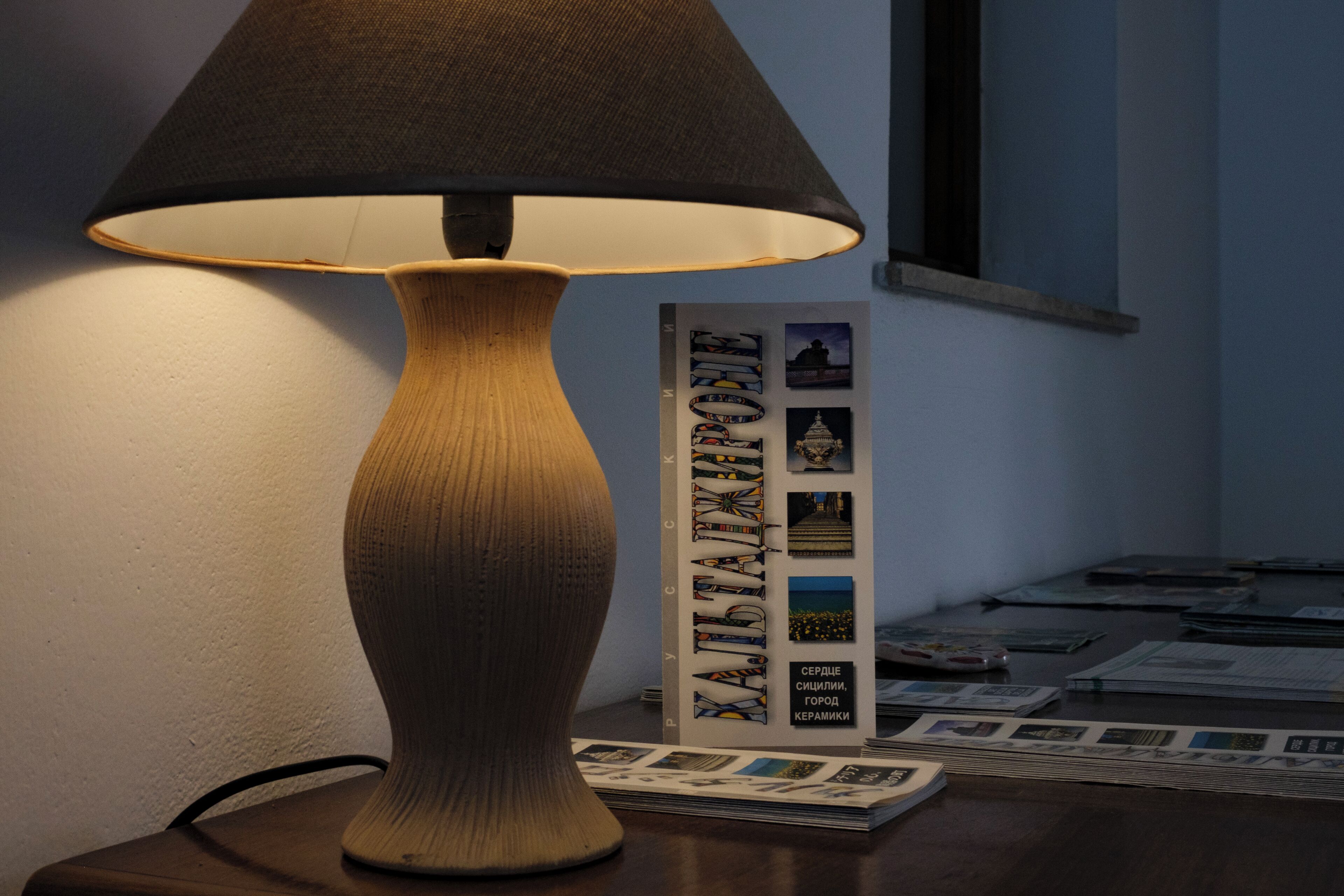 A table lamp with a conical shade, a book with images and text, and a window in the background.