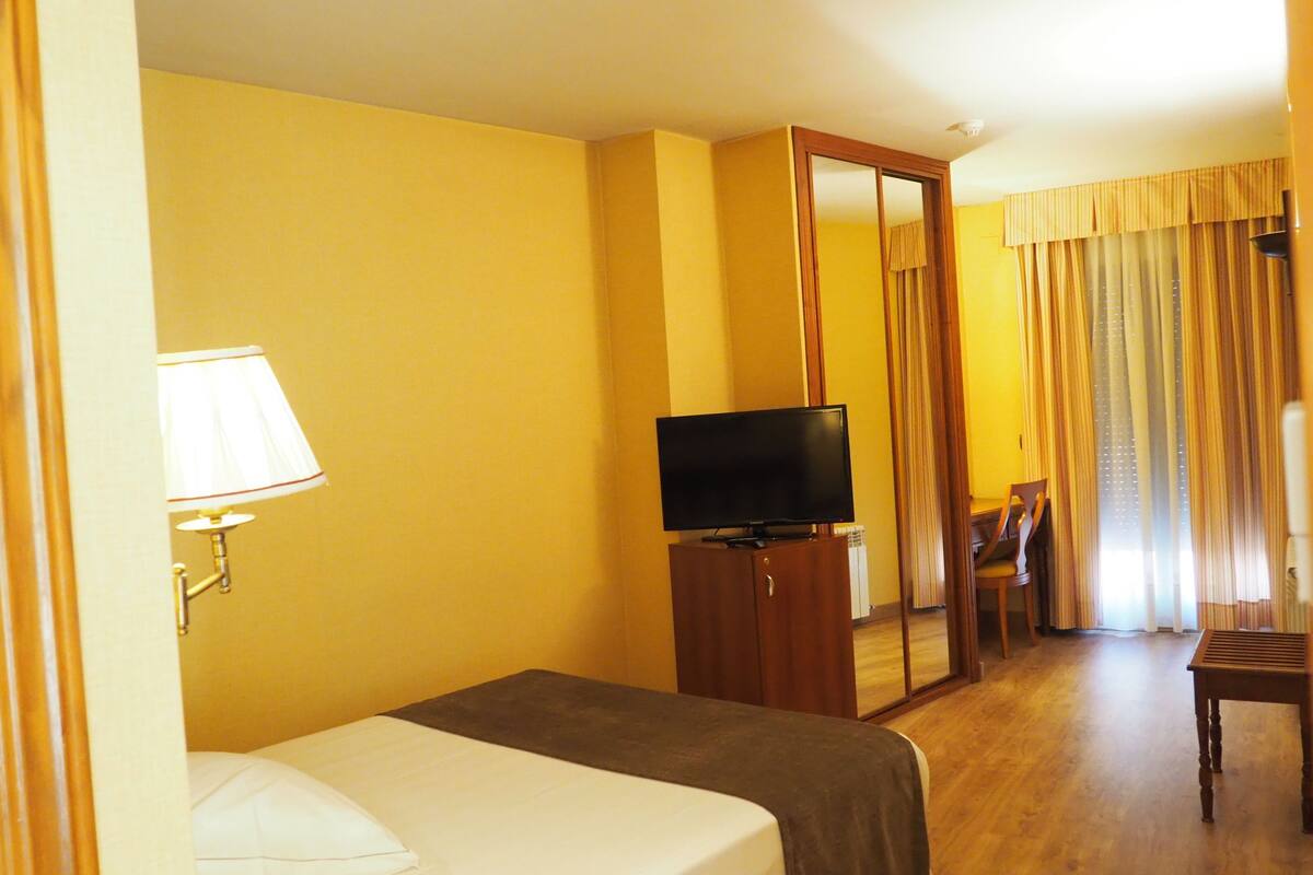 Une chambre d’hôtel avec un lit, un téléviseur posé sur un meuble en bois, un miroir, une chaise et une fenêtre avec des rideaux.