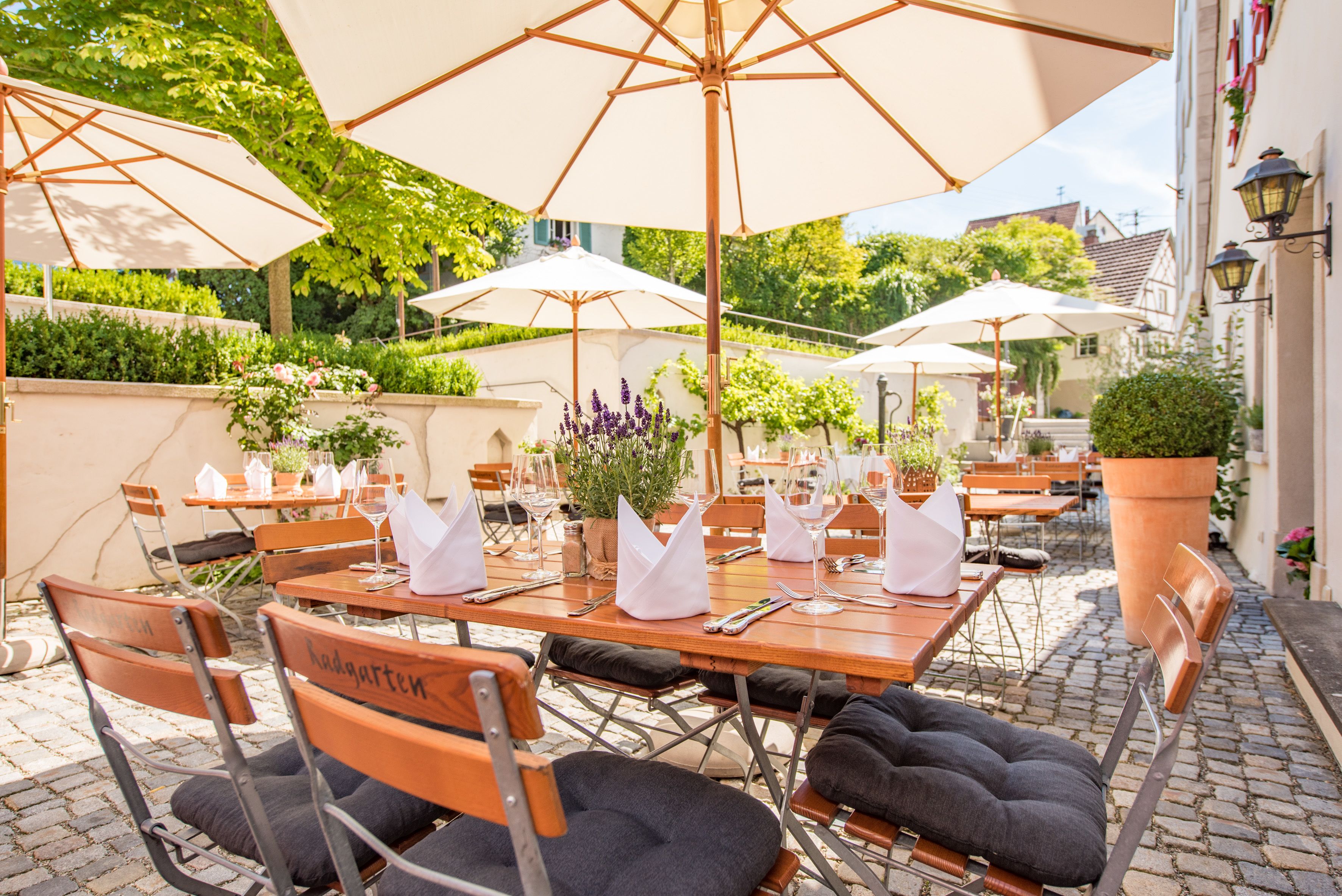 供应晚餐，德国菜