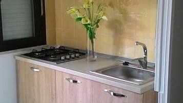 Eine kleine Küche mit Gaskochfeld, Spüle und einem Schrank.
