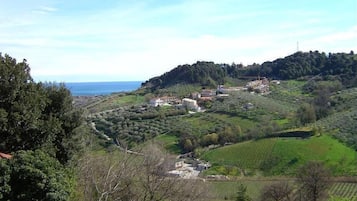 Vista dalla struttura