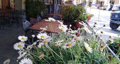 Giovanni da Verrazzano