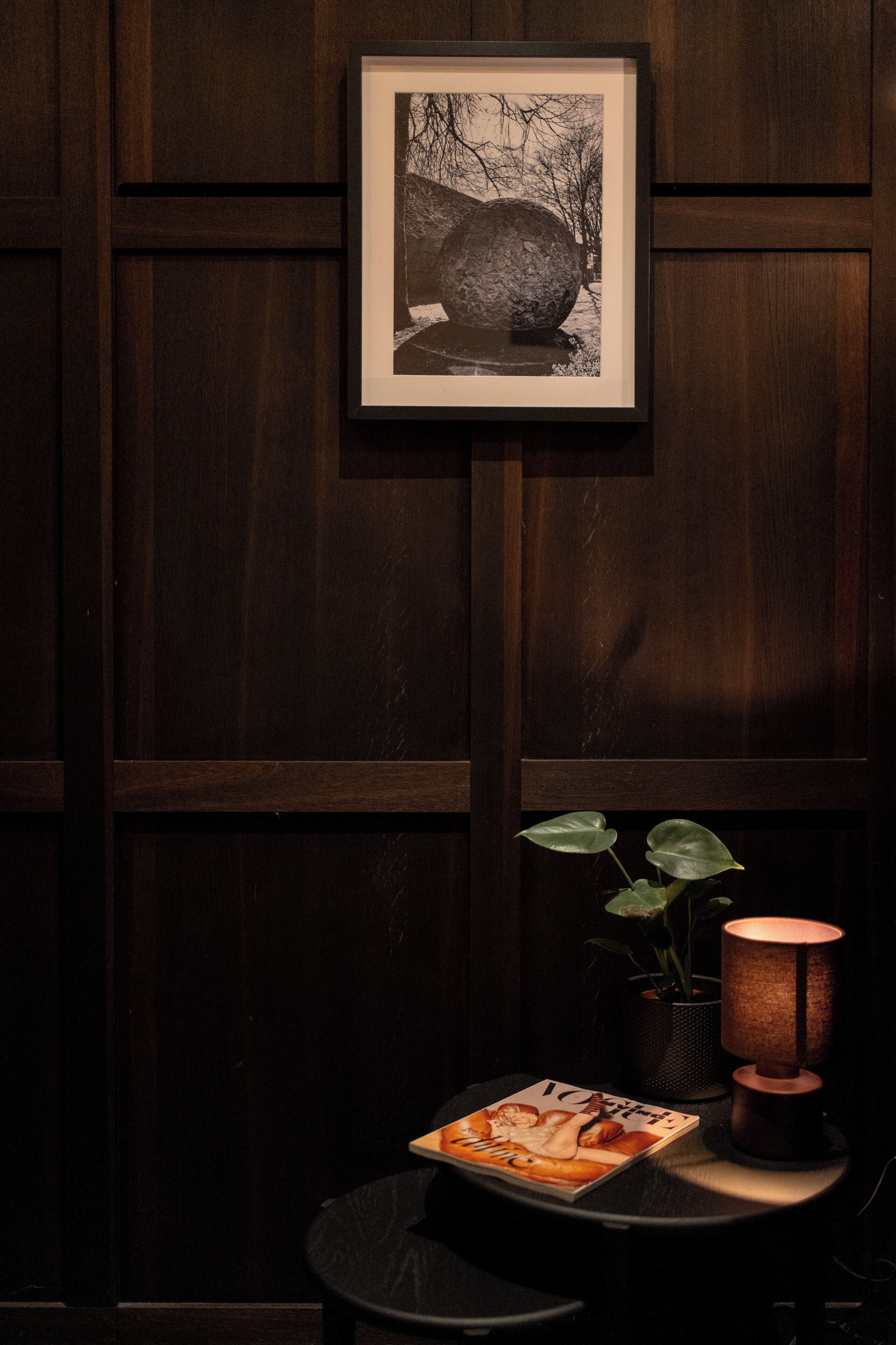 Una fotografía en un marco en la pared, una planta en maceta, una revista y una lámpara sobre una mesa.