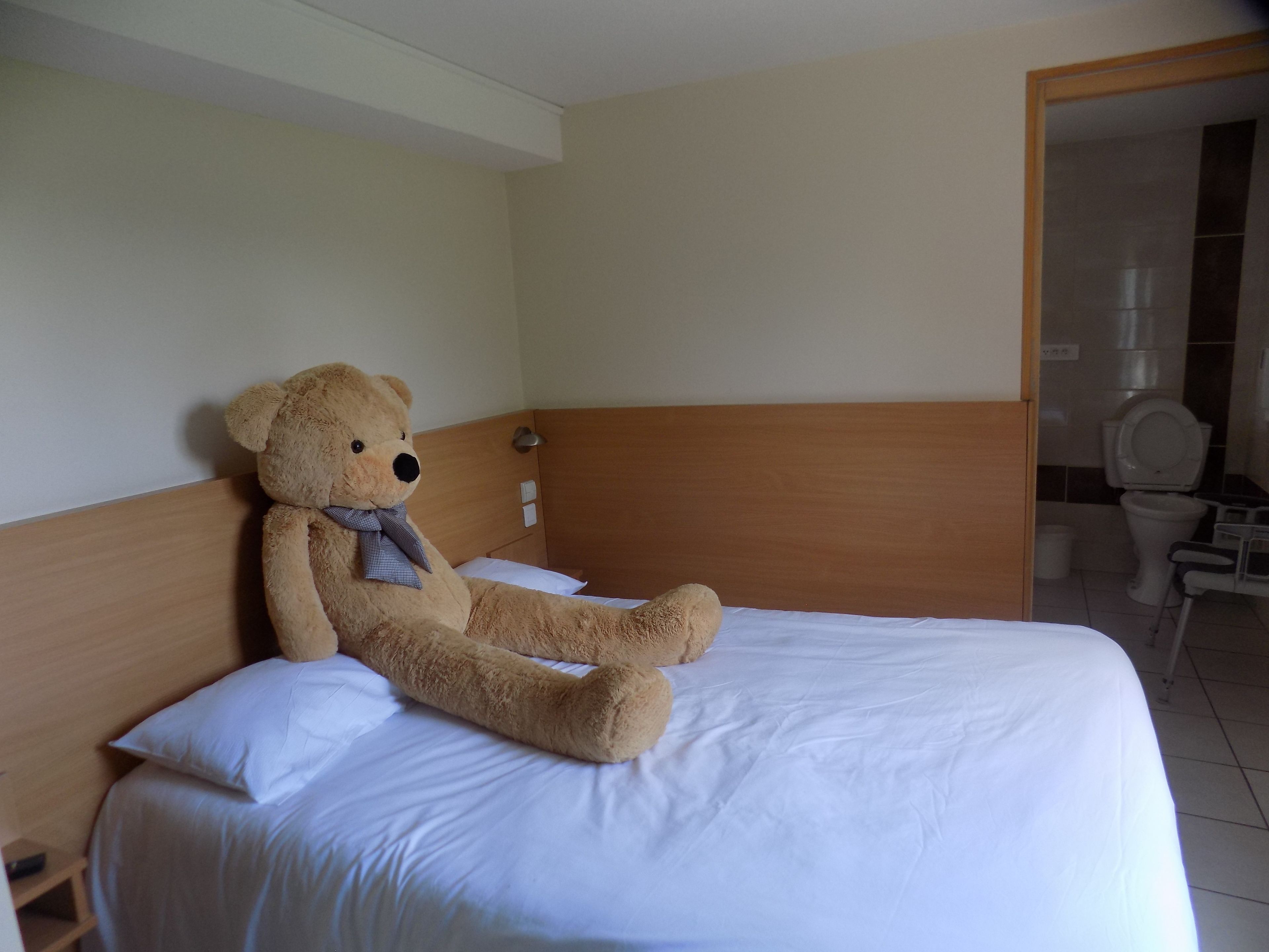 Een eenpersoonsbed met een houten hoofdbord, een teddybeer op het bed, en een badkamer zichtbaar door een geopende deur.
