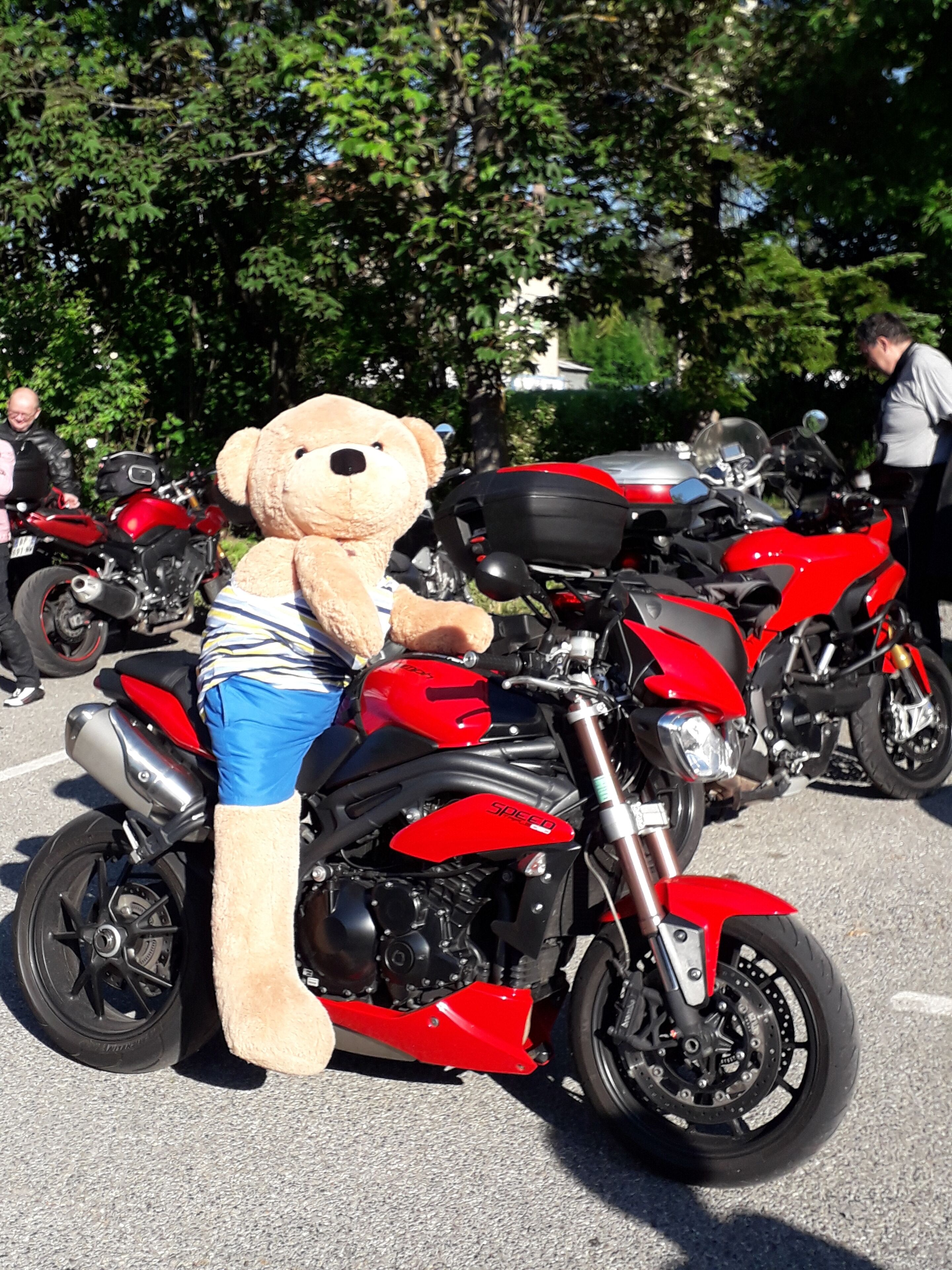 En röd motorcykel med en stor nallebjörn sittande på den.