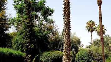 Piscine extérieure, parasols de plage, chaises longues