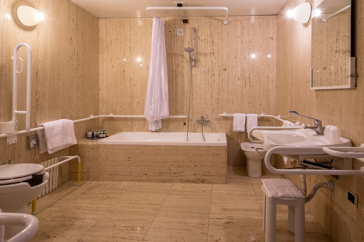 combined shower/bathtub, free toiletries, hair dryer, bidet