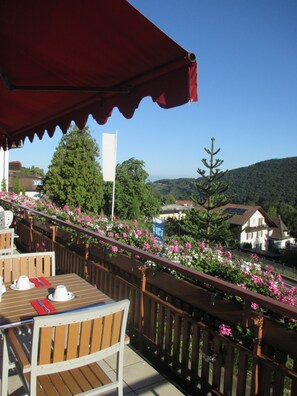 View from property - Hotel Neuenfels (Badenweiler)