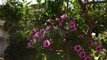 花園