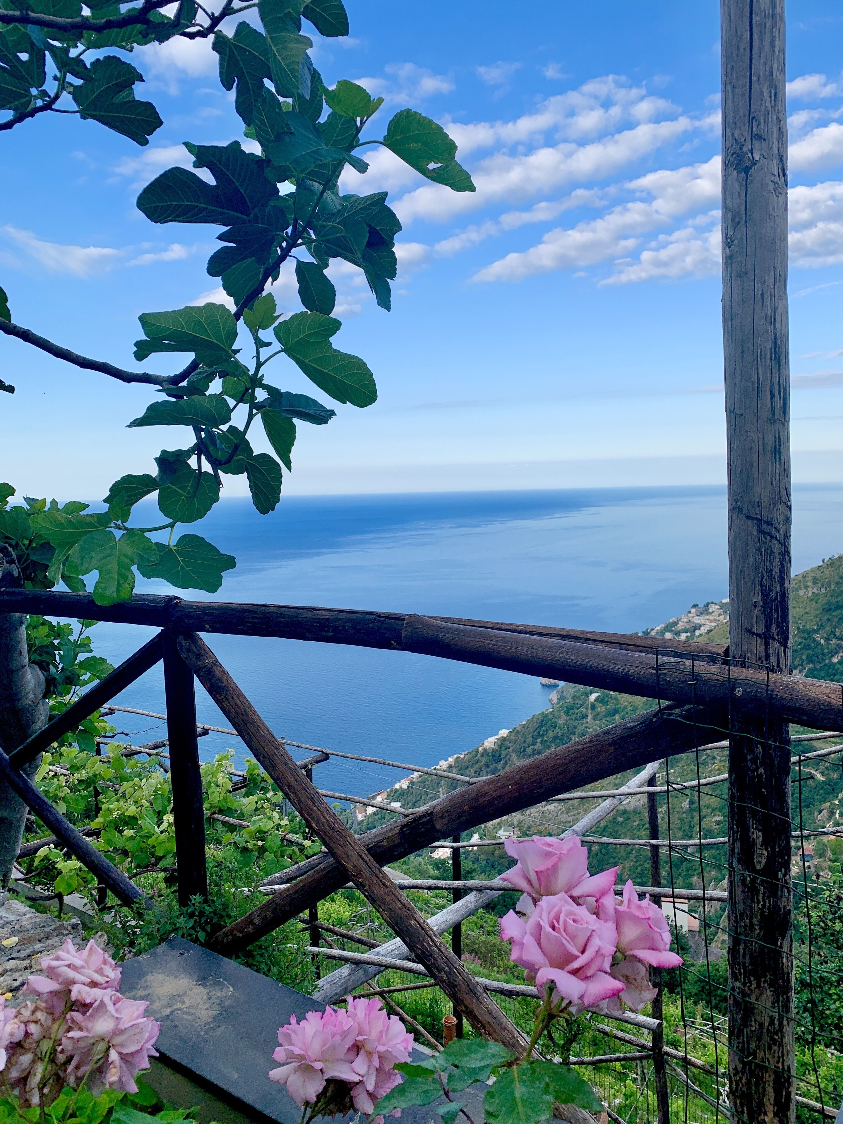 Un mirador con barandilla de madera, abundante vegetación y flores rosadas.