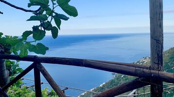 Un mirador con barandilla de madera, abundante vegetación y flores rosadas.