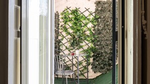 Una ventana con vista a un jardín, que incluye una silla de metal y una planta en maceta.