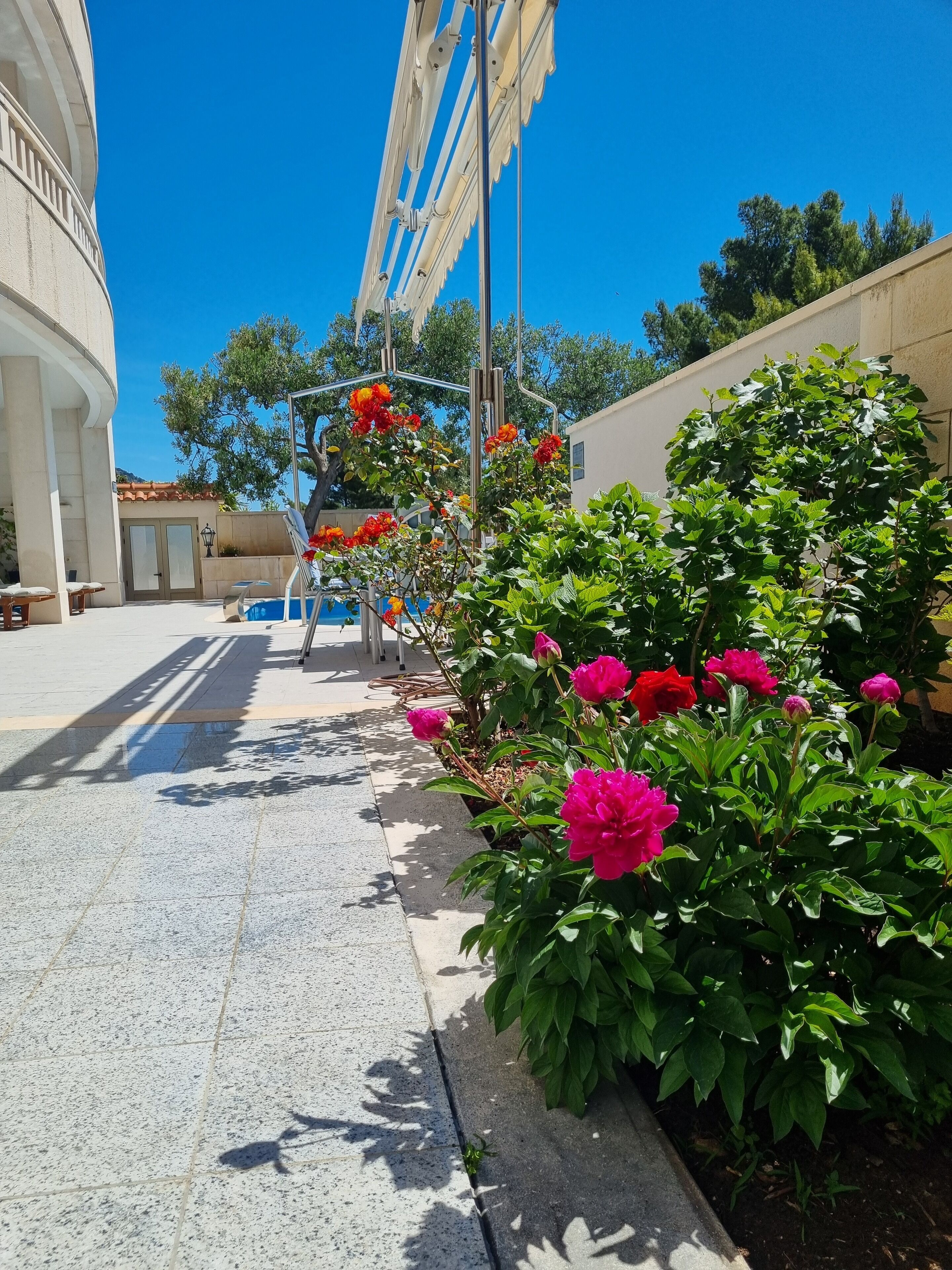 A street with a building on the left, a metal structure in the center, and a garden with flowers on the right.