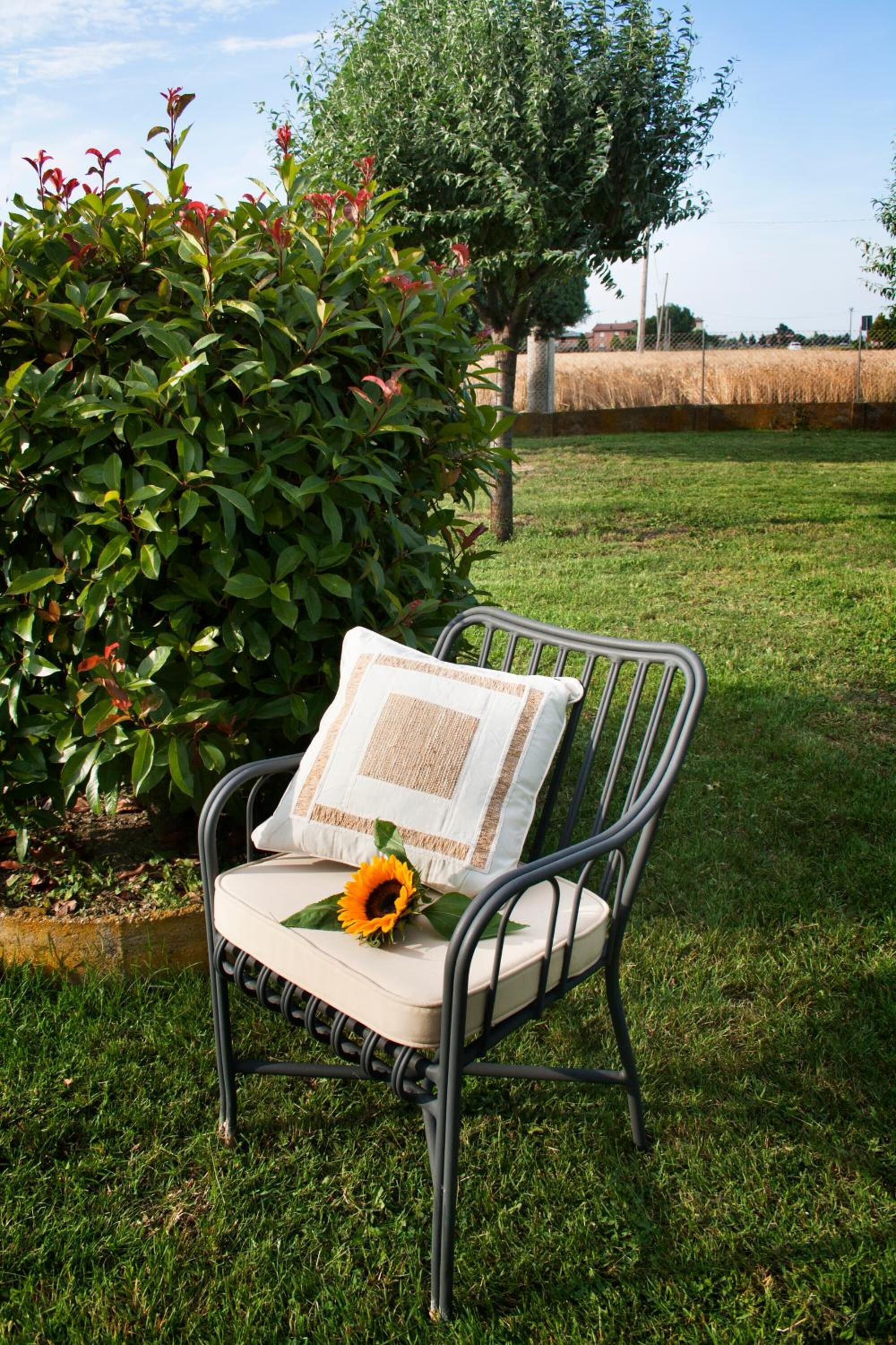 A metal chair with a cushion and a pillow, placed on a grassy lawn with a bush and a tree in the background.