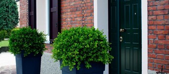 Alla Corte del Picchio