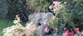 Alla Corte del Picchio