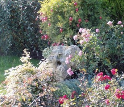 Alla Corte del Picchio