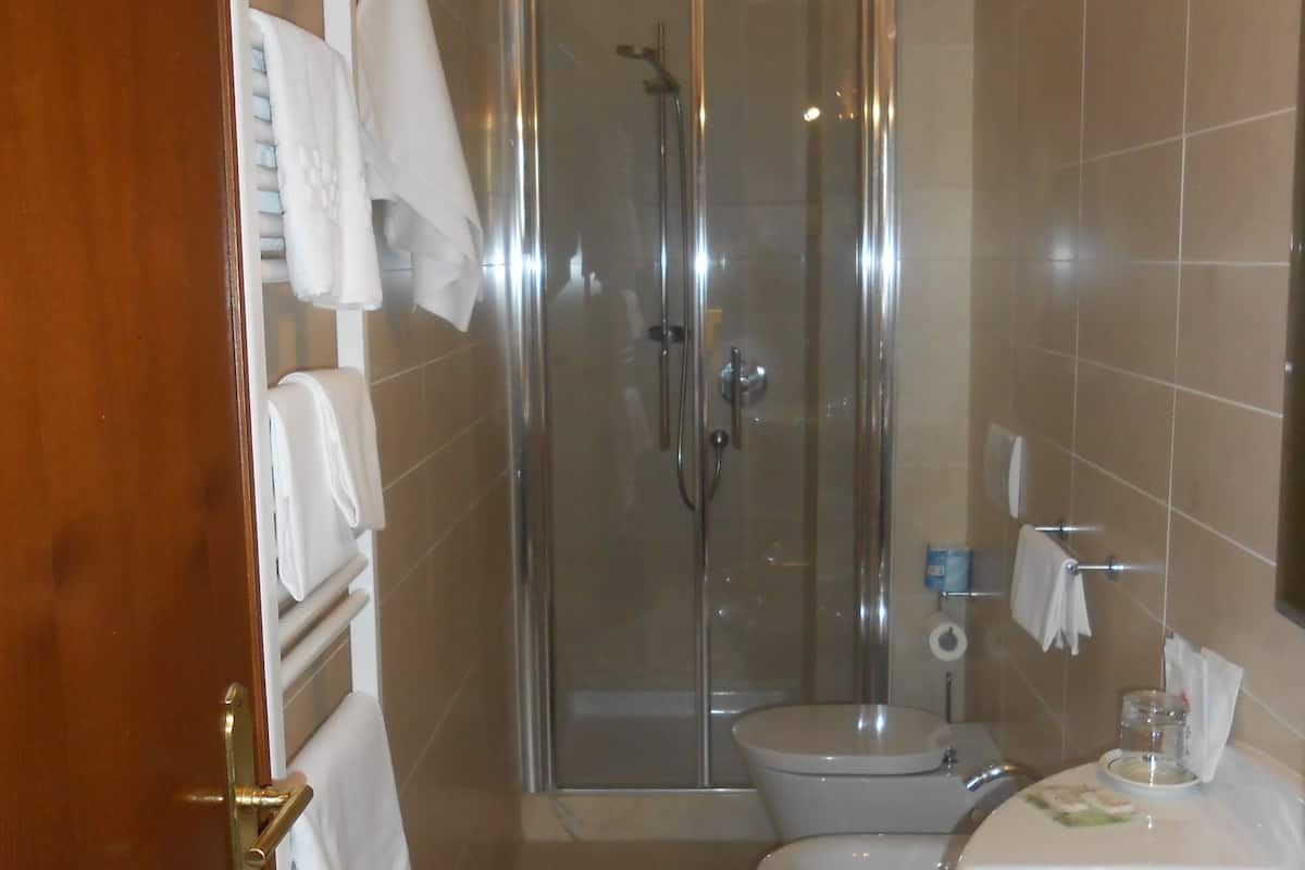 shower, free toiletries, hair dryer, bidet
