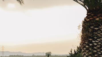Piscine extérieure, chaises longues