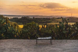 Landuitzicht vanuit accommodatie