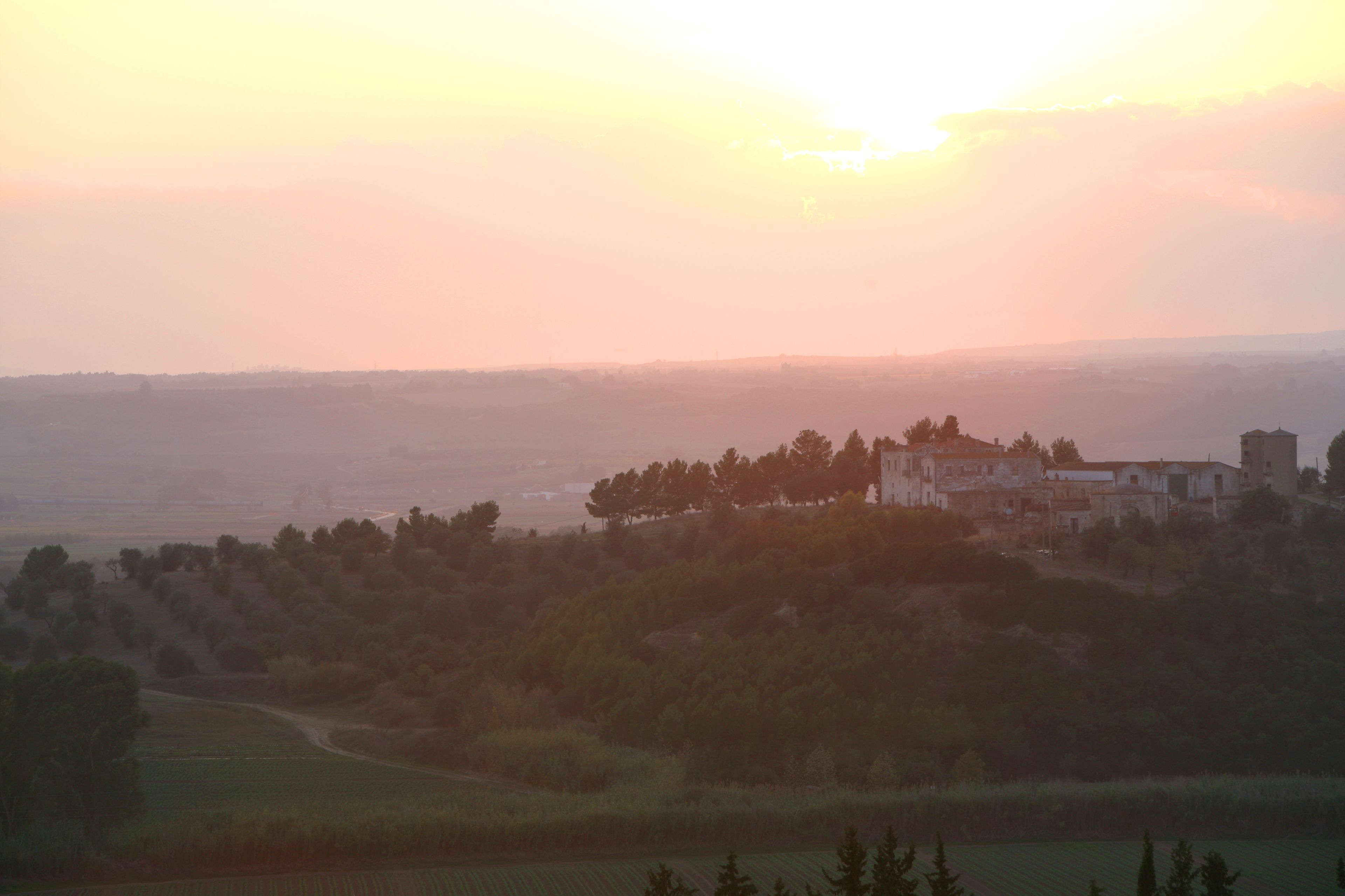 Paisaje rural con un edificio rodeado de árboles y campos.