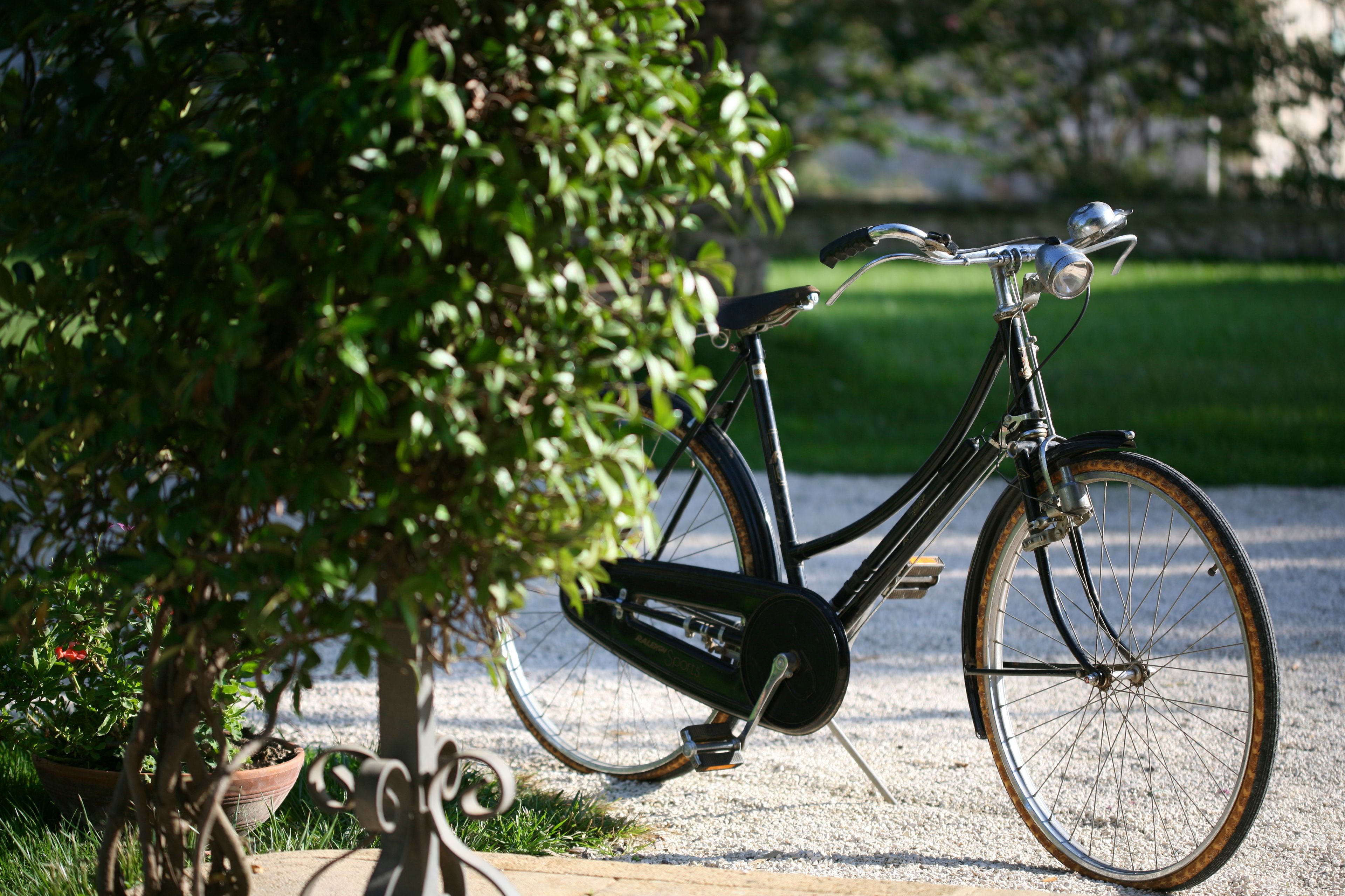 Una bicicleta estática aparcada junto a un árbol con un sendero de grava.