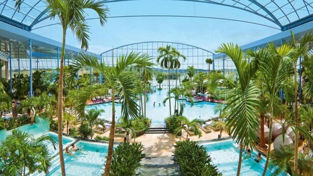 An indoor swimming pool with multiple lanes, surrounded by palm trees and a glass ceiling. - Hotel Dachsenfranz (Zuzenhausen)