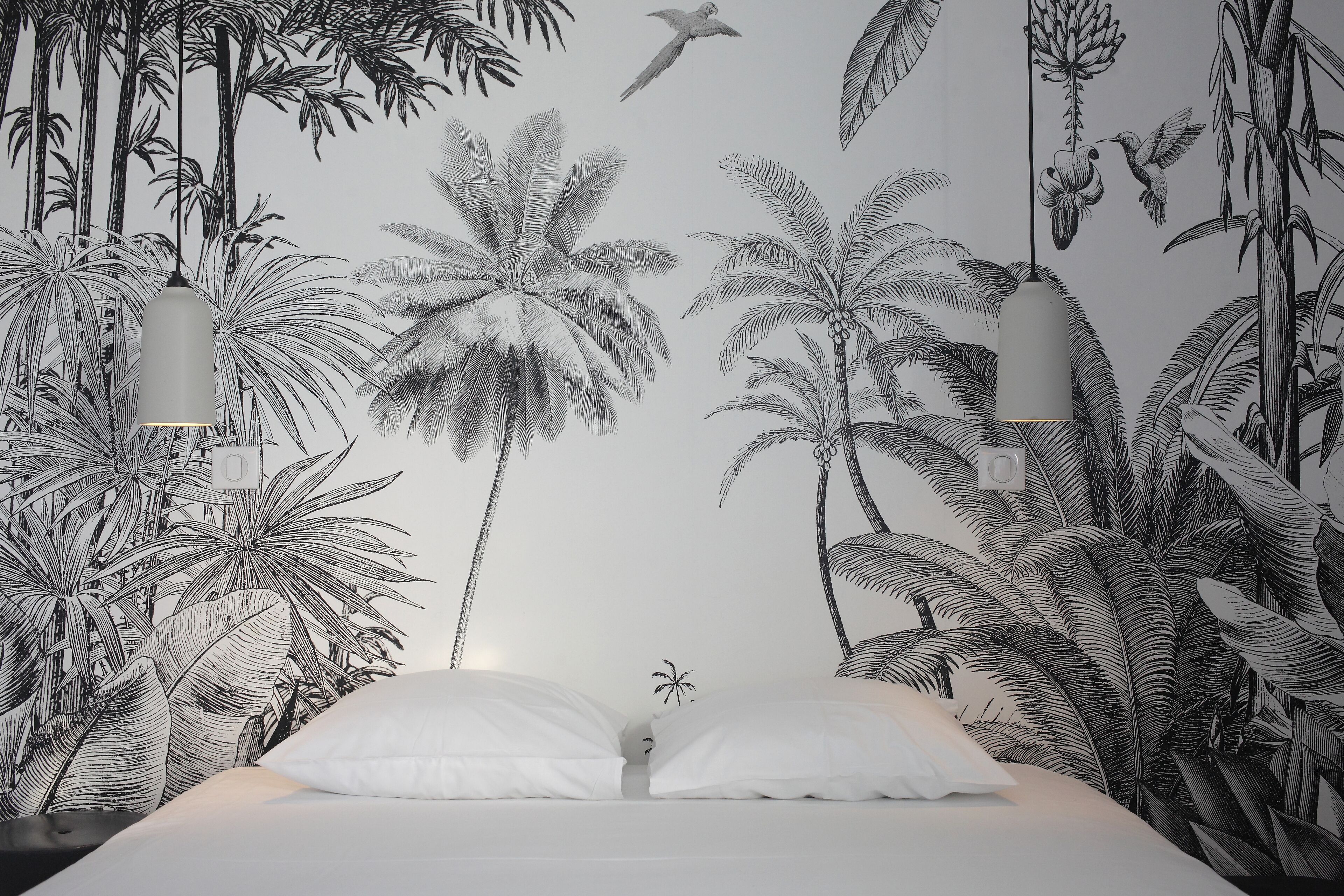 Foto - Hotel Saint Louis