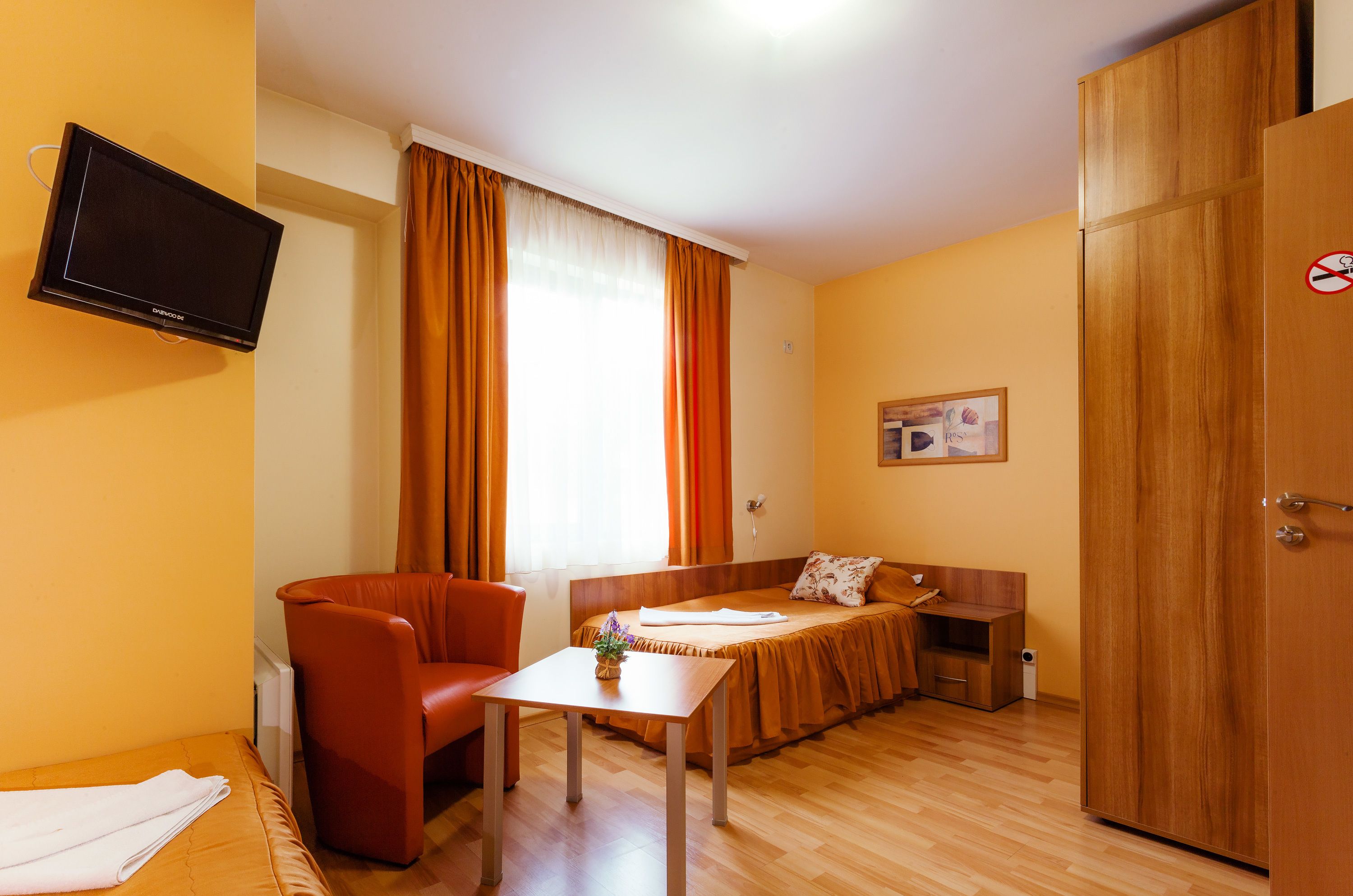 Habitación de hotel pequeña con cama, sofá, televisor, armario de madera y una mesita con una planta.