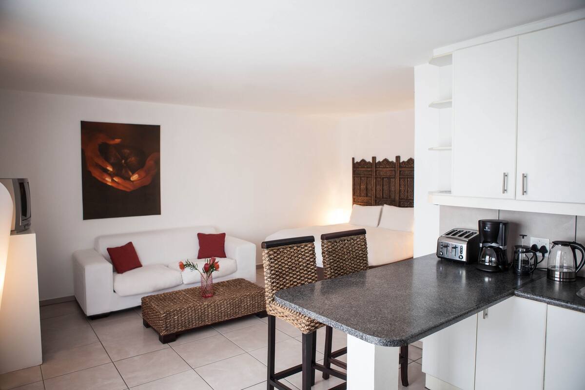 Apartment, Terrace ((Large)) | Minibar, desk, blackout curtains, iron/ironing board