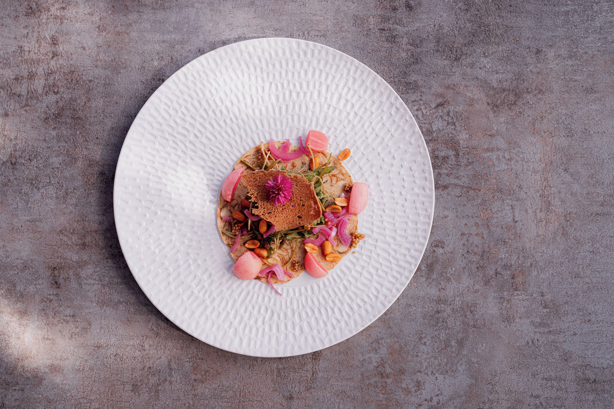 Un plato blanco con superficie texturizada, que contiene un guiso con diversos ingredientes y adornos.