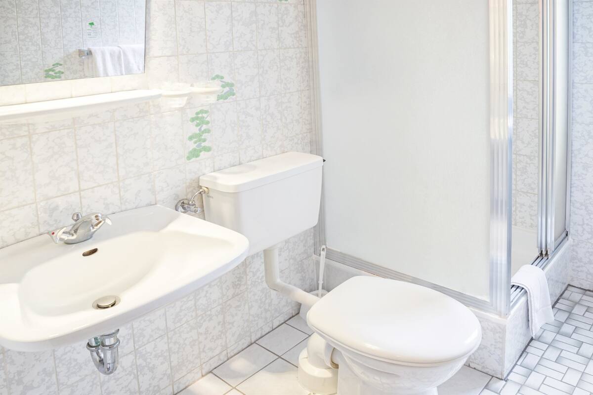 shower, eco-friendly toiletries, hair dryer, towels