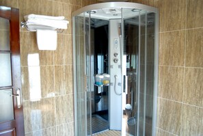 Hair dryer, bidet, towels