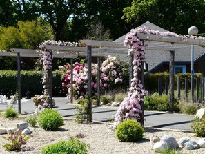A garden with a pergola covered in pink flowers, surrounded by rocks and shrubs. - Hôtel de la Baie de Paimpol (Ploubazlanec)