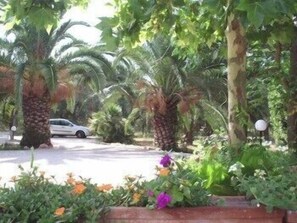 ที่จอดรถฟรี