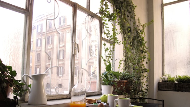Une table avec une carafe de jus d’orange, un verre et une assiette contenant un objet blanc, près d’une fenêtre donnant sur des bâtiments et des plantes.