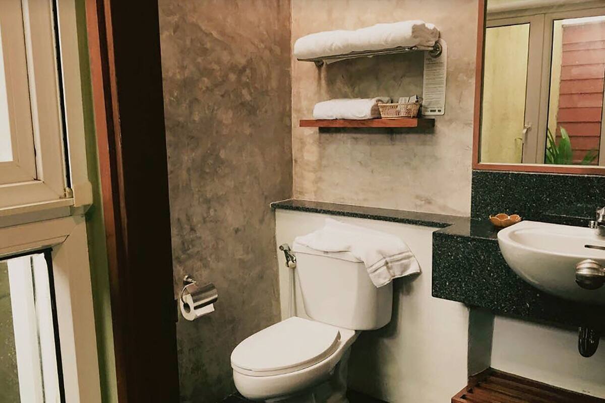 shower, free toiletries, hair dryer, towels