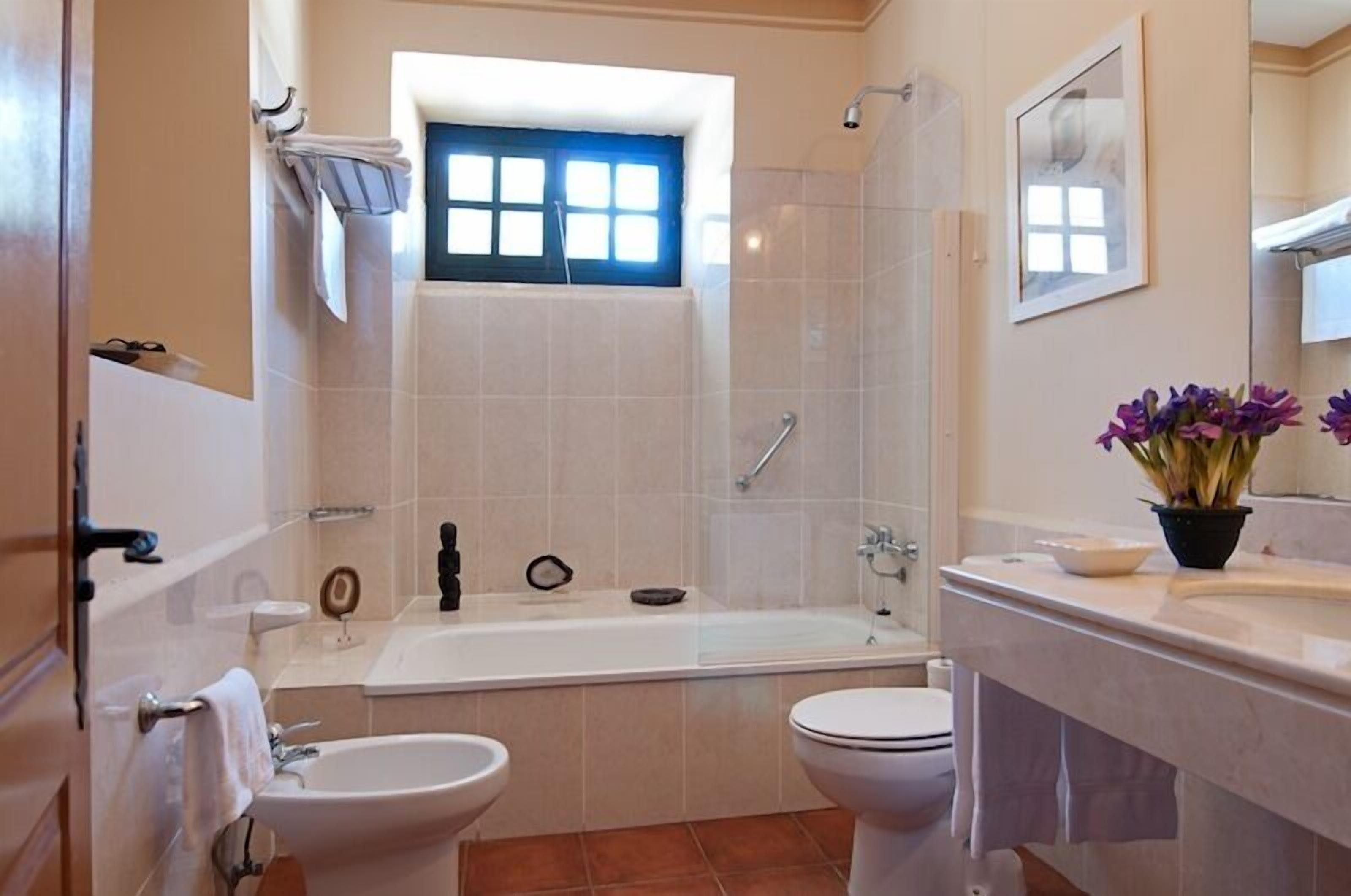 combined shower/bathtub, free toiletries, hair dryer, bidet